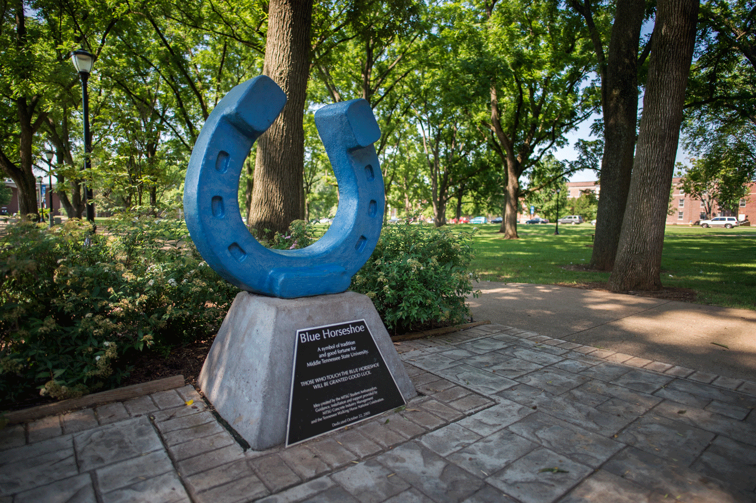 MTSU Horseshoe